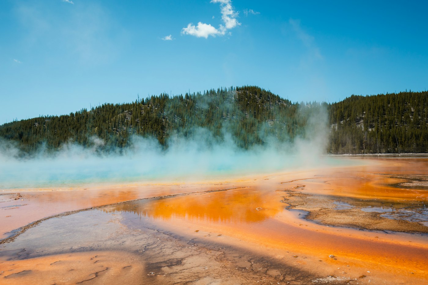 Lake and forest in Yellowstone National Park